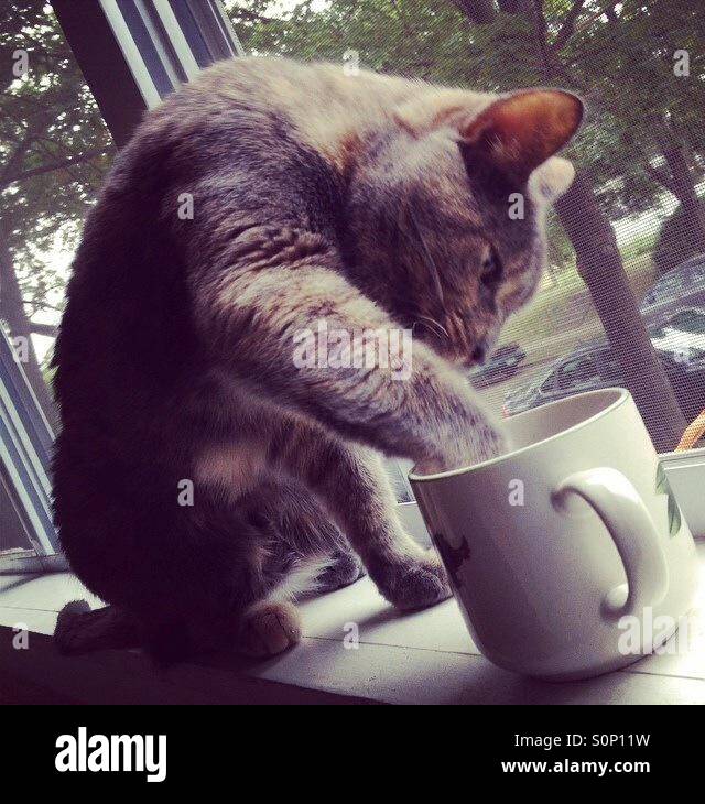 Good To The Last Drop Stock Photo Alamy