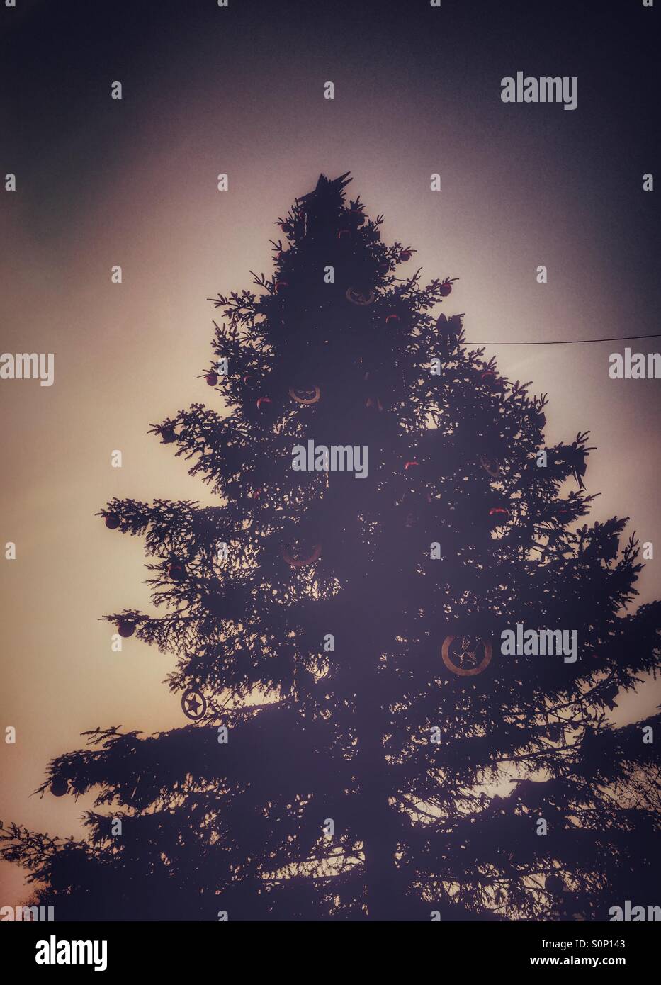 Christamas Tree High Resolution Stock Photography and Images - Alamy