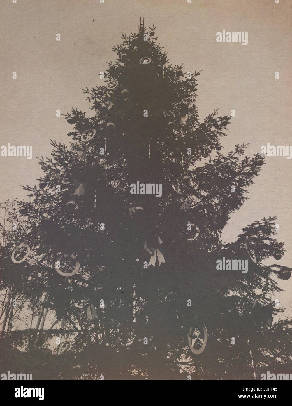 Christamas Tree High Resolution Stock Photography and Images - Alamy