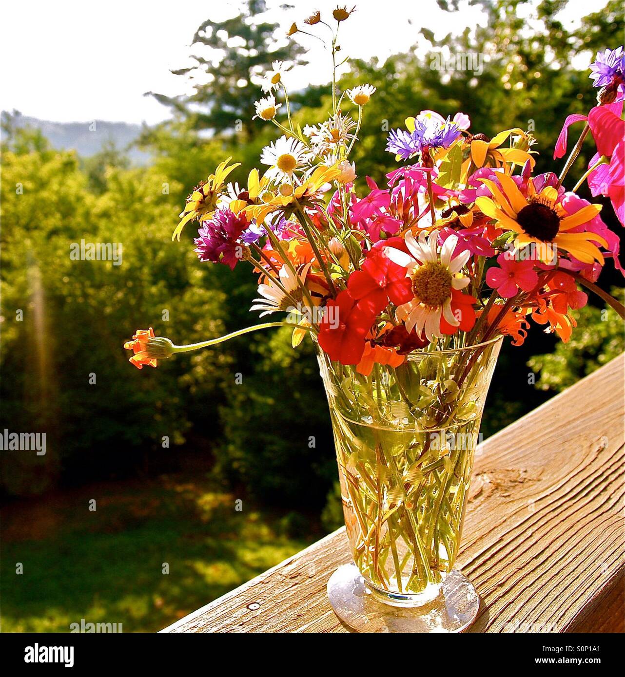 Wildflowers Stock Photo Alamy