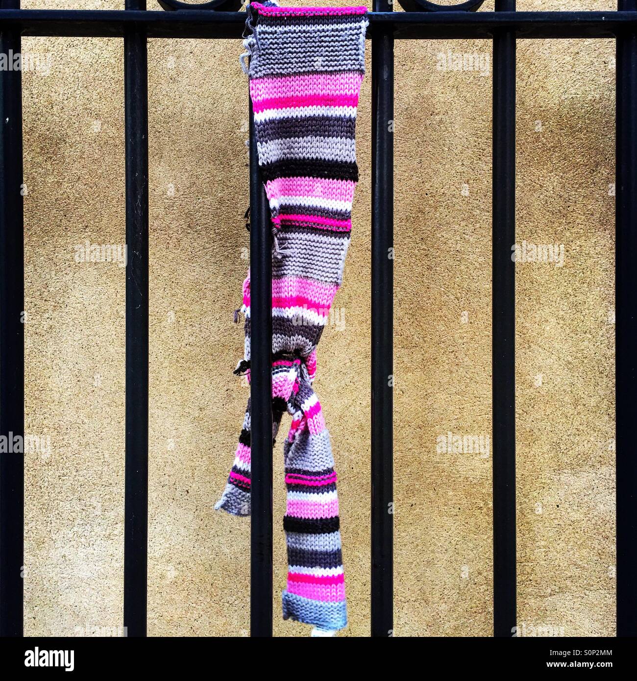 Left striped scarf hanging from a black iron gate. - Smartphone Captured Stock Image