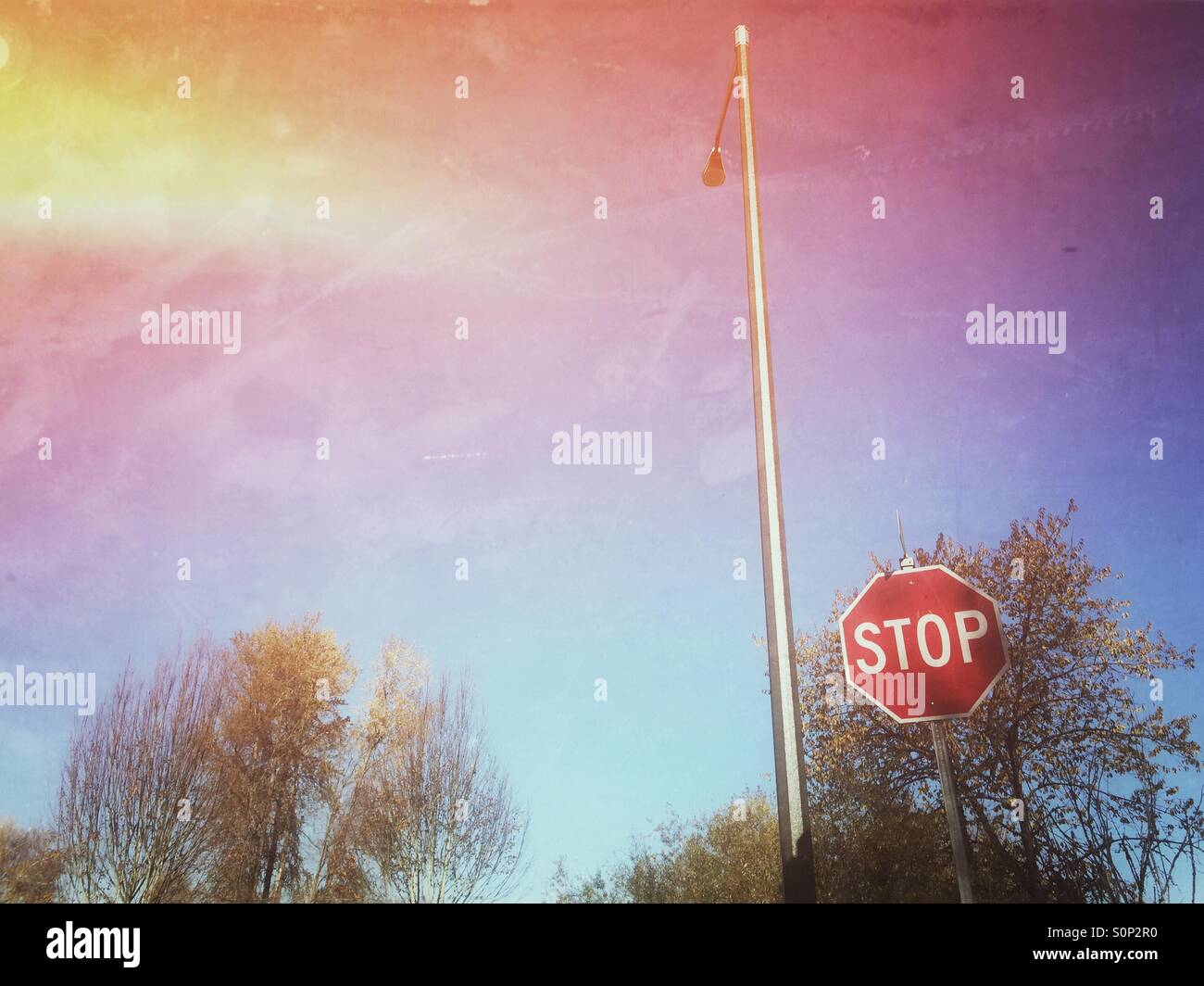 Light pole and stop sign - Smartphone Captured Stock Image