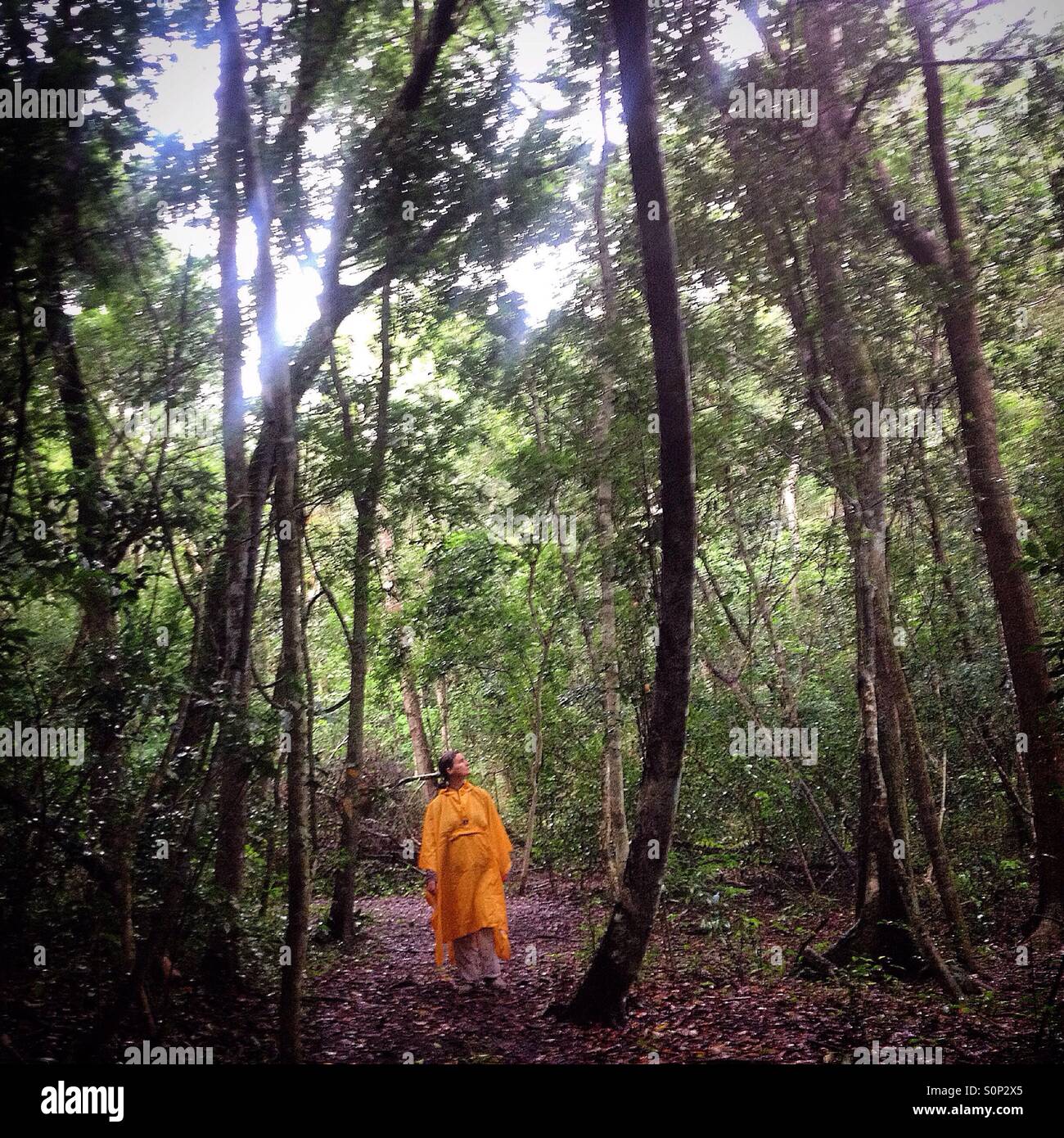 A woman wearing a yellow rain poncho walks in the Mayan city of Mirador, Peten, Guatemala. - Smartphone Captured Stock Image