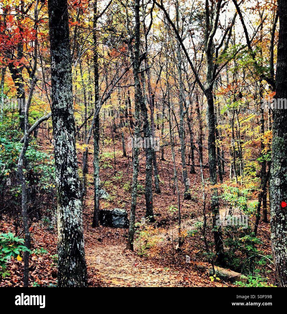 Crowders Mountain, NC Stock Photo Alamy