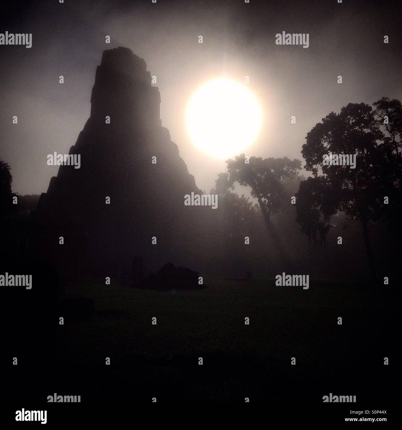 The sun shines in a foggy morning in the Mayan city of Tikal, Peten, Guatemala Stock Photo