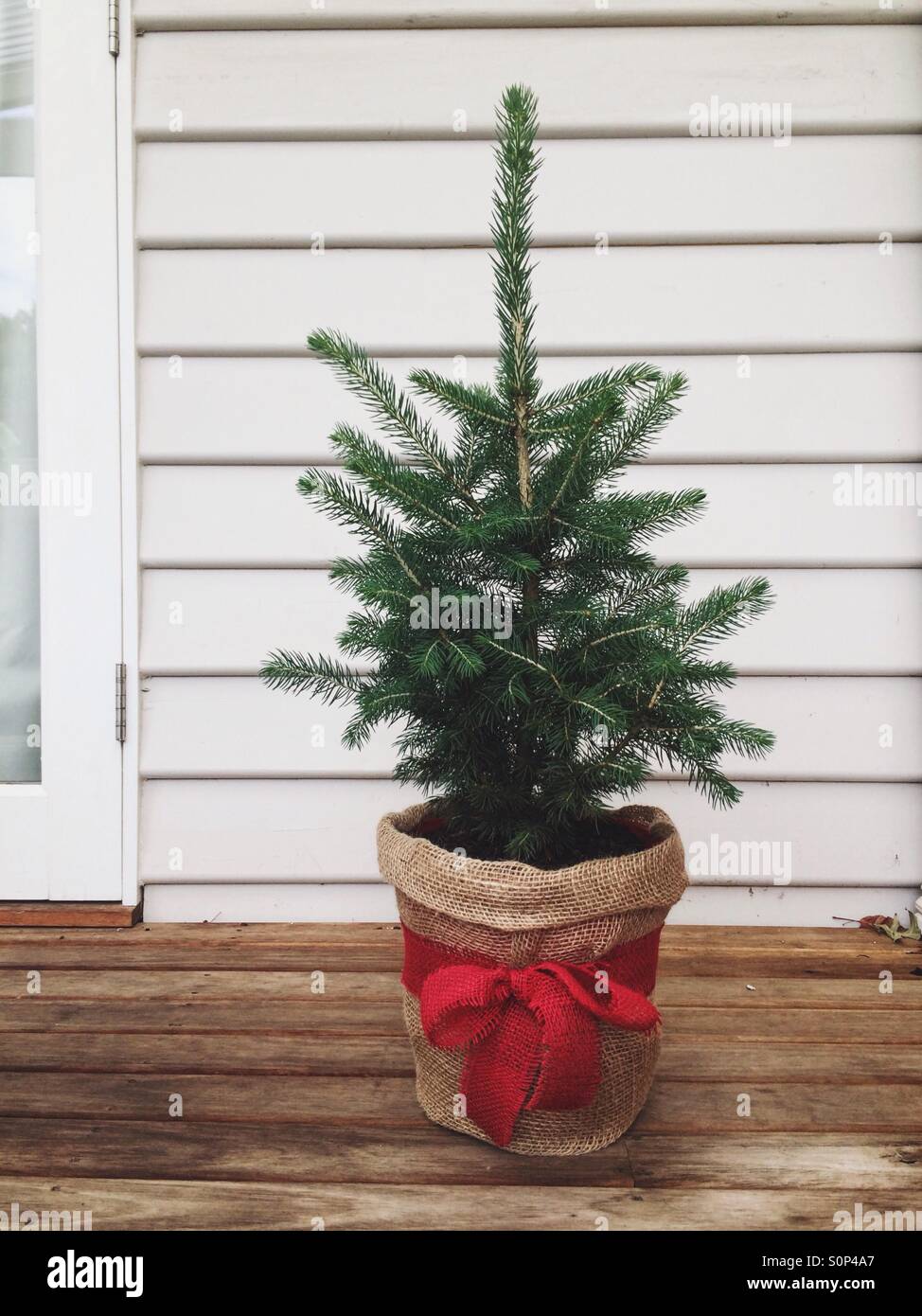 Red hessian hires stock photography and images Alamy