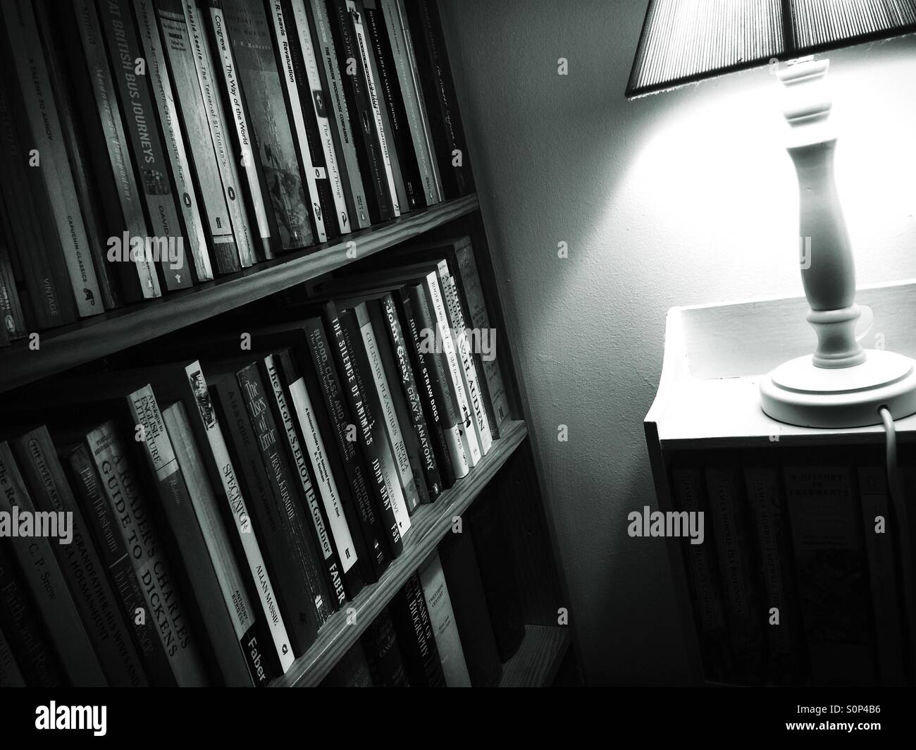 Bookshelves and reading lamp Stock Photo Alamy