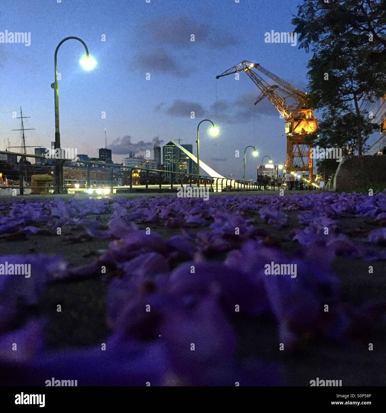 Spring in Buenos Aires - Smartphone Captured Stock Image