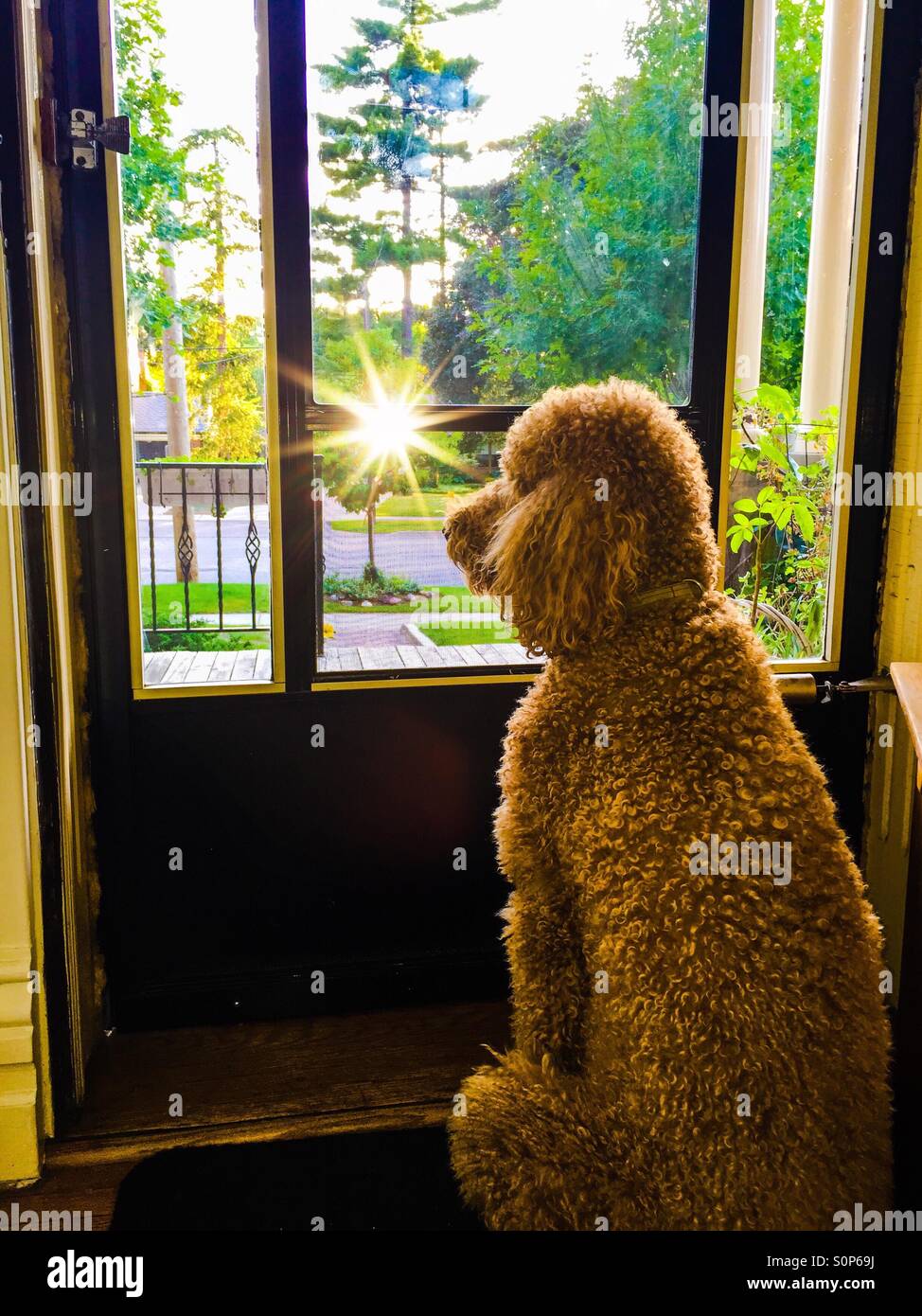 Waiting - Smartphone Captured Stock Image