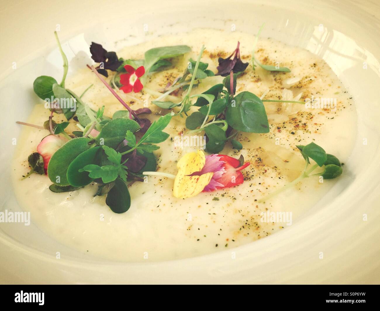 Creative cuisine - Smartphone Captured Stock Image