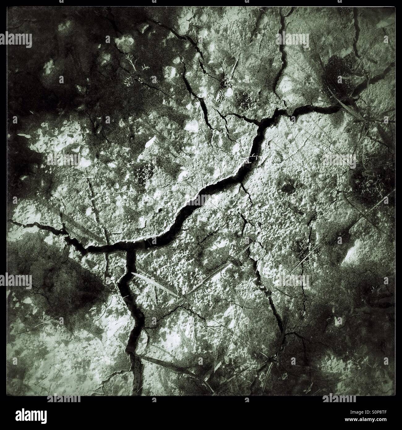 New life after drought, Catalonia, Spain. - Smartphone Captured Stock Image