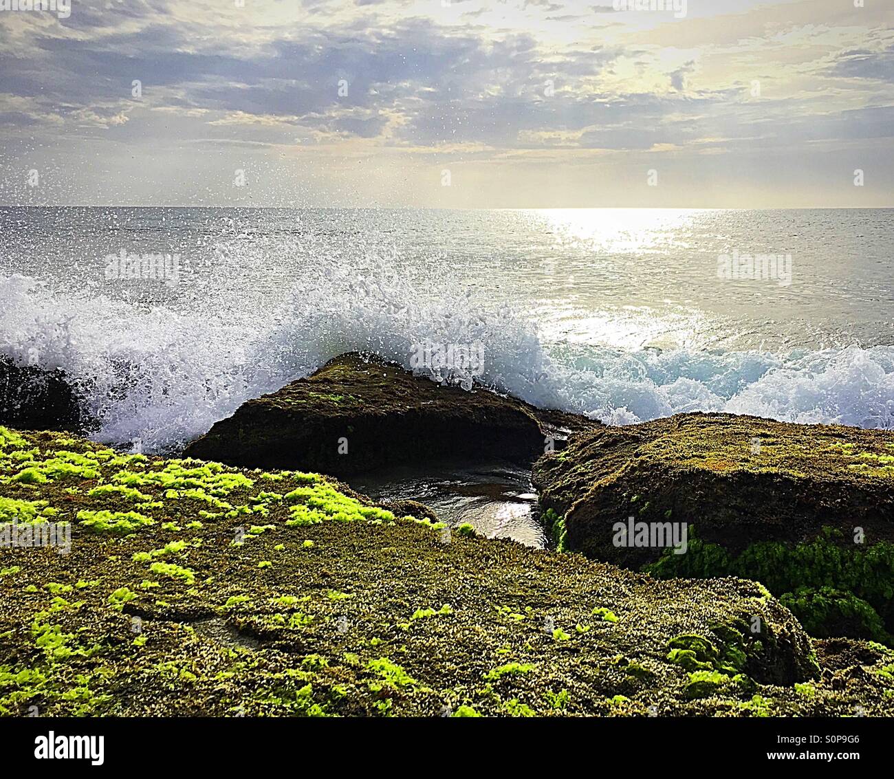 Sea spray over sea weed covered rocks - Smartphone Captured Stock Image