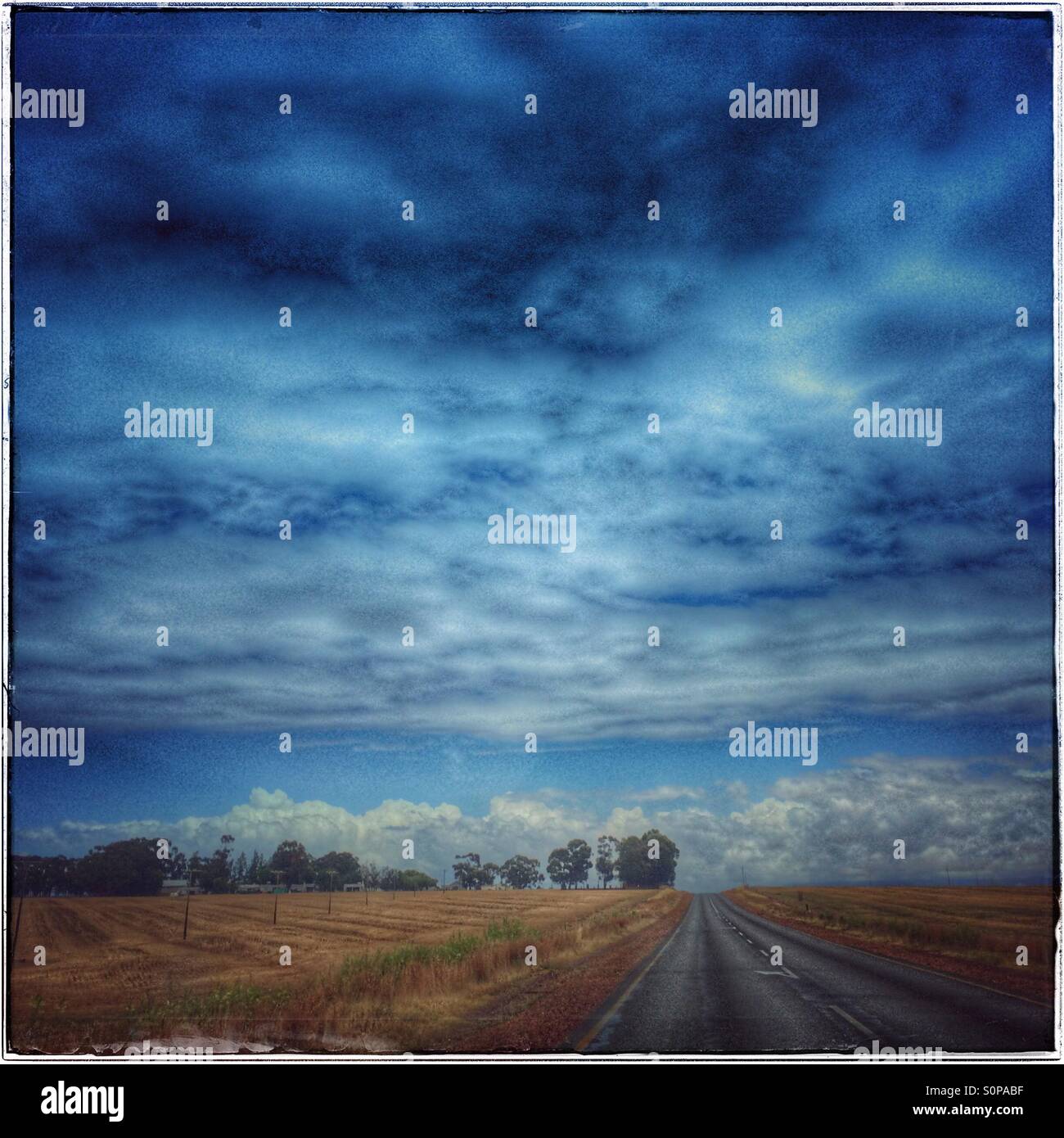 Cloudy sky , Western Cape Province landscape, South Africa. - Smartphone Captured Stock Image