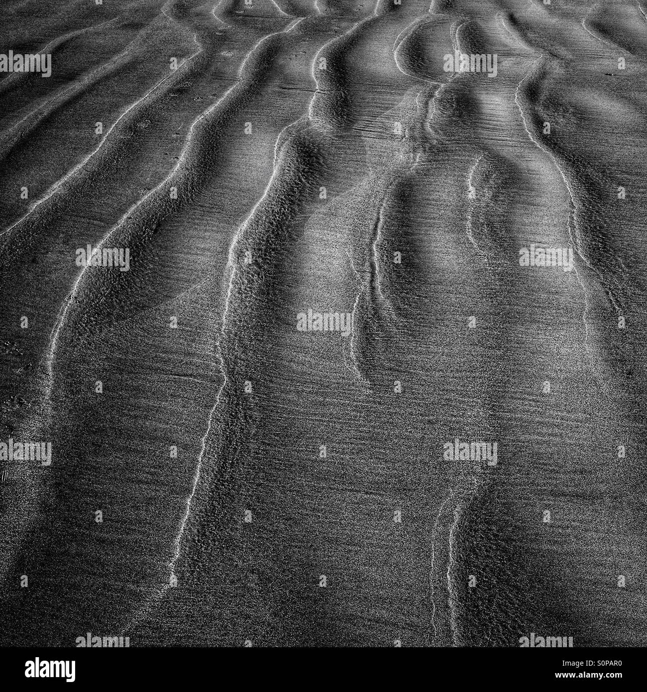 Black and white high contrast of lowlight across ripple patterns in the sand - Smartphone Captured Stock Image