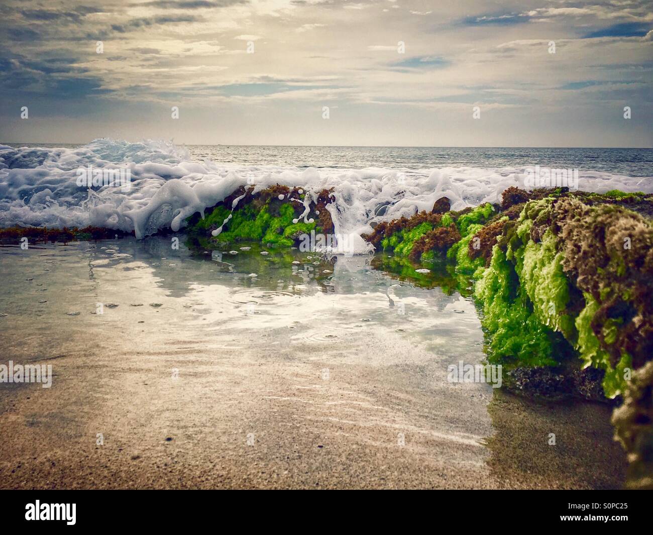 Coastal scene with waves coming in over seaweed coloured green rocks and reflection in shallow water - Smartphone Captured Stock Image