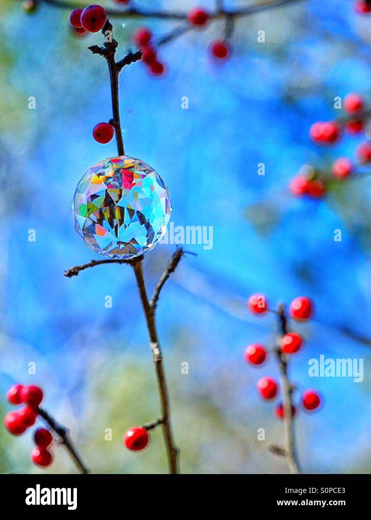 Wild holly berries with faceted crystal ball and autumn sky/North