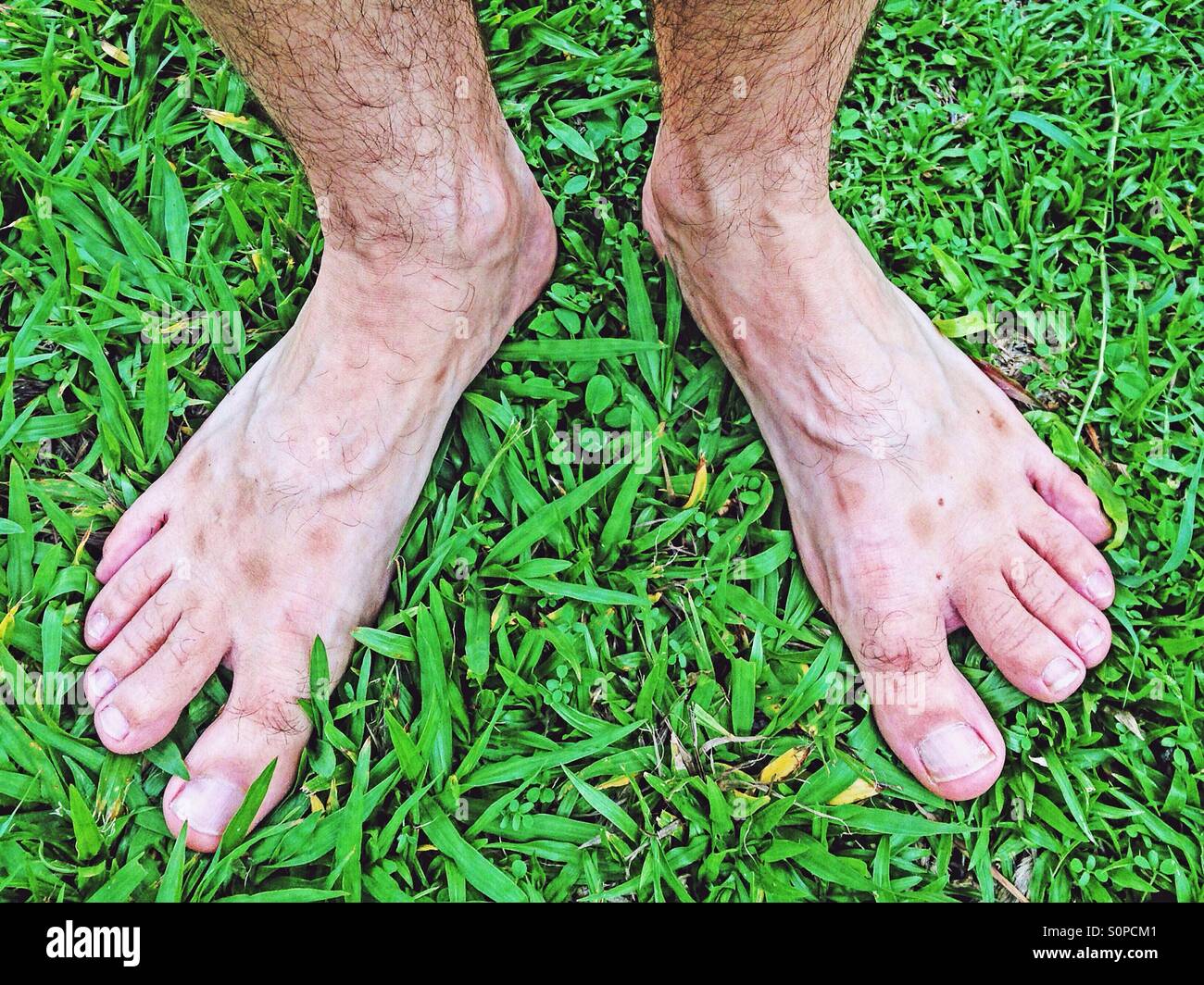 Long feet. Stock Photo