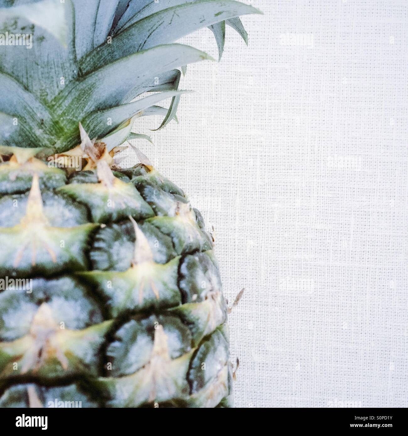 Green unripe Pineapple Stock Photo