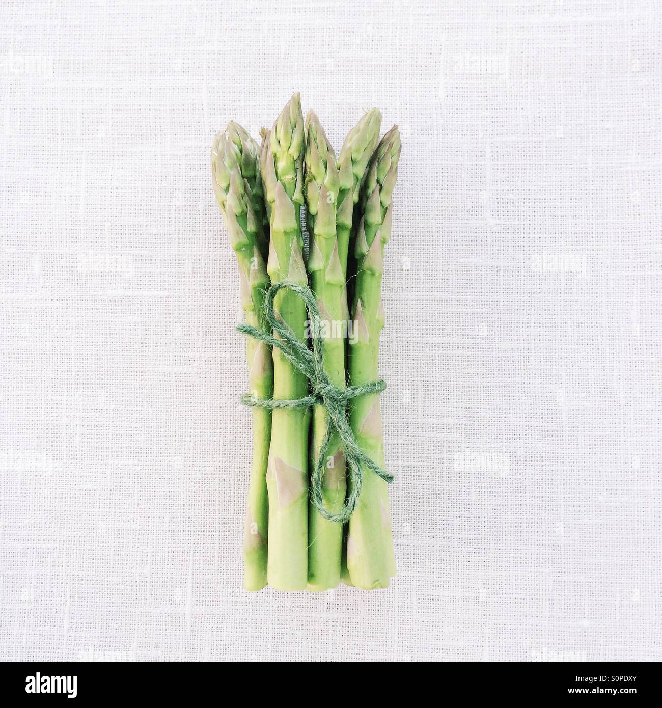 Bunch of Asparagus tied with string Stock Photo