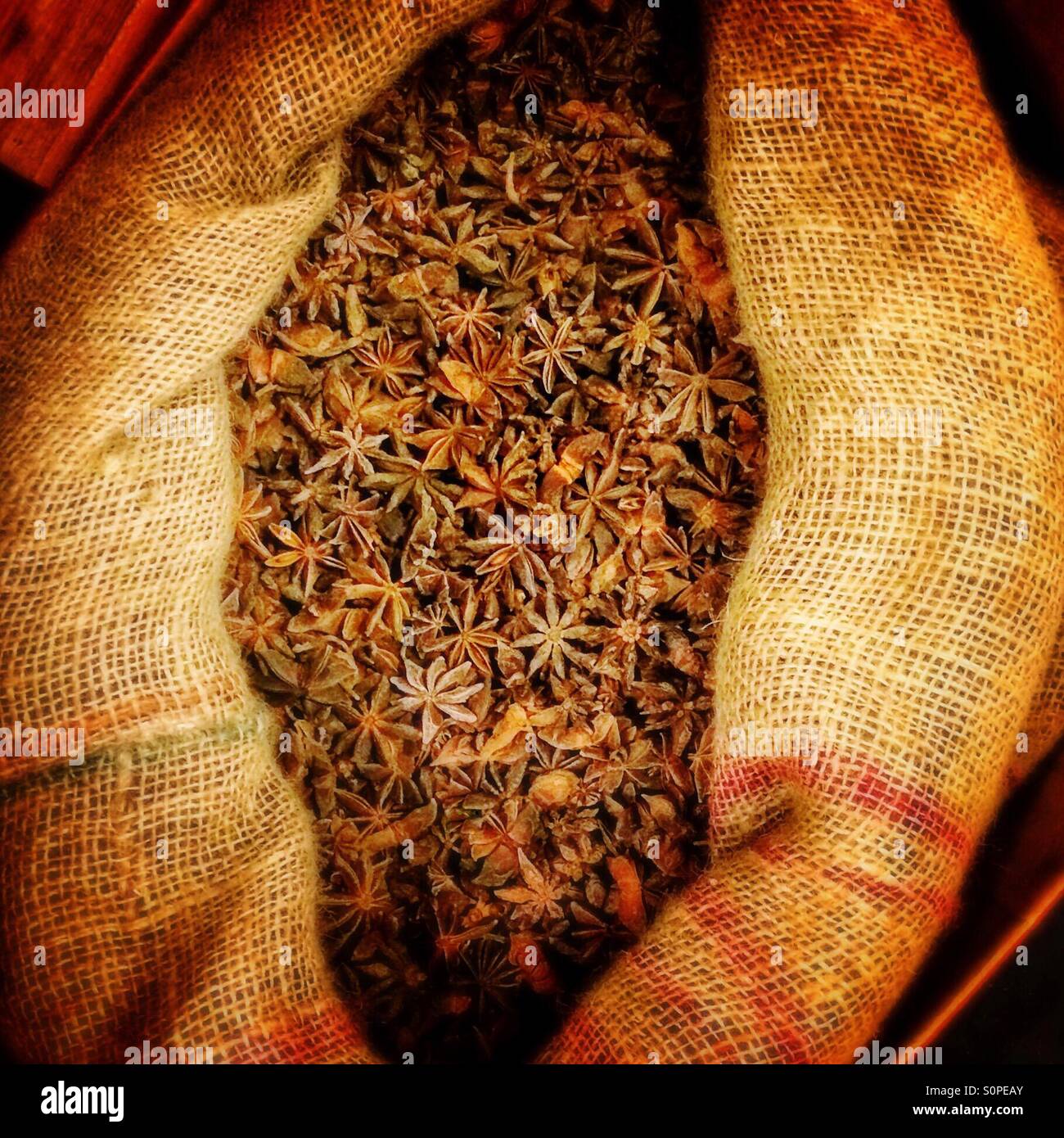 Star anise spices - Smartphone Captured Stock Image