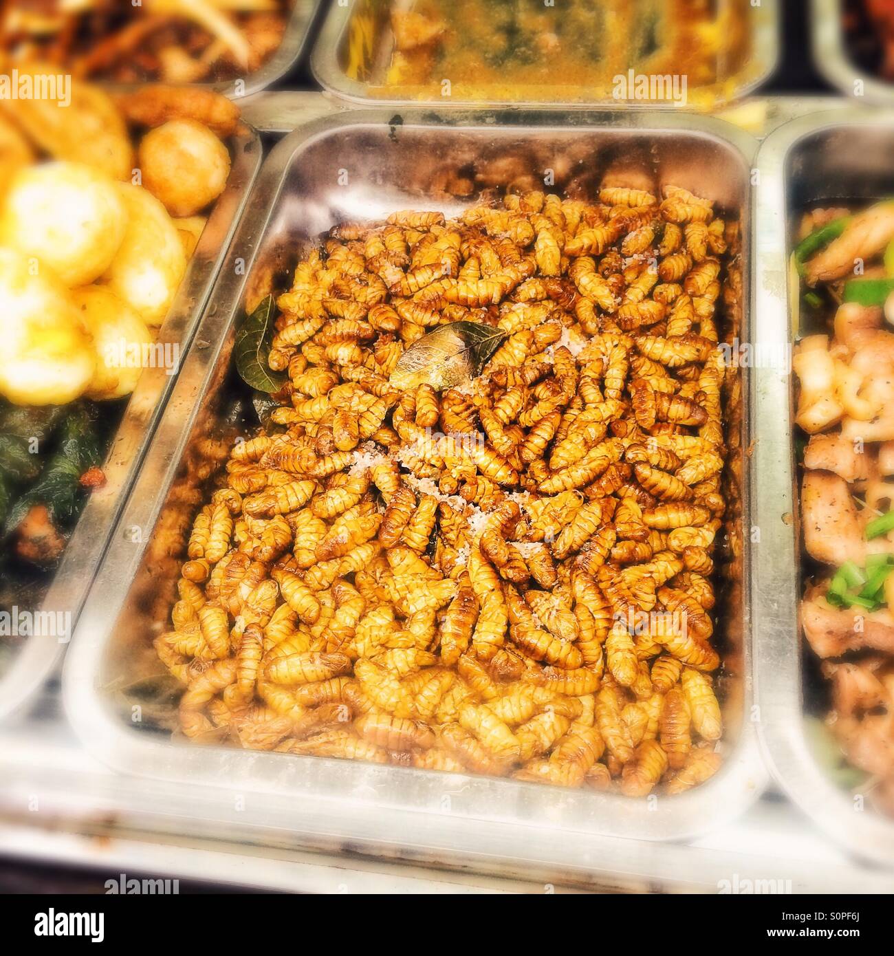 Fried silk worm pupae in Hanoi, Vietnam - Smartphone Captured Stock Image