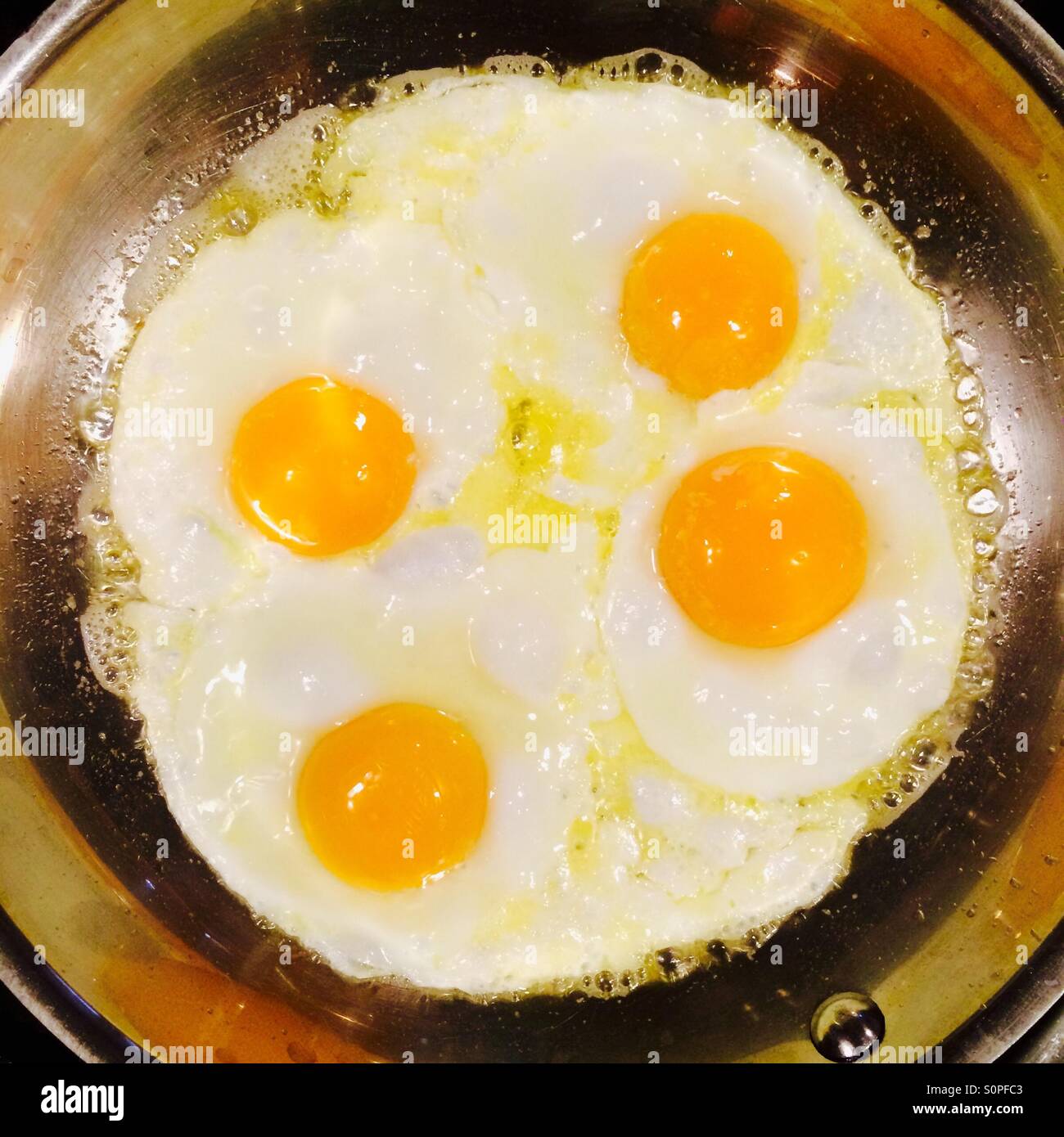 Four fried eggs cooking in a frying pan. Stock Photo