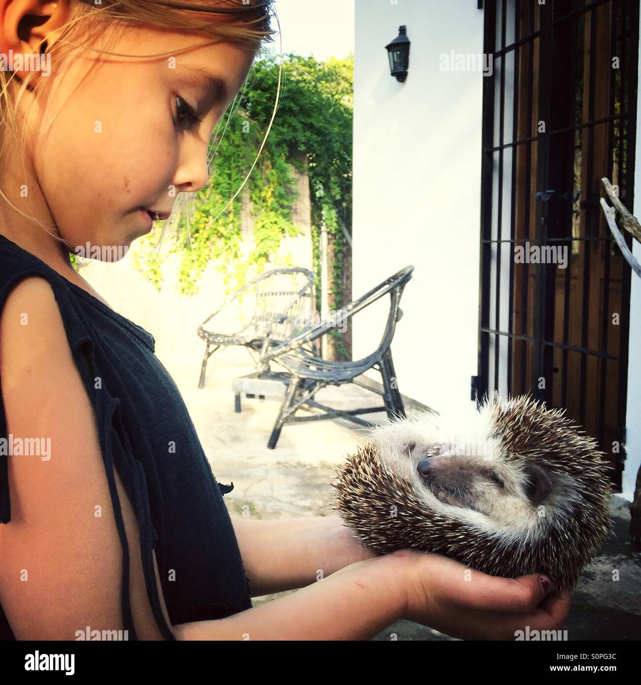 Girl holding a hedgehog Stock Photo