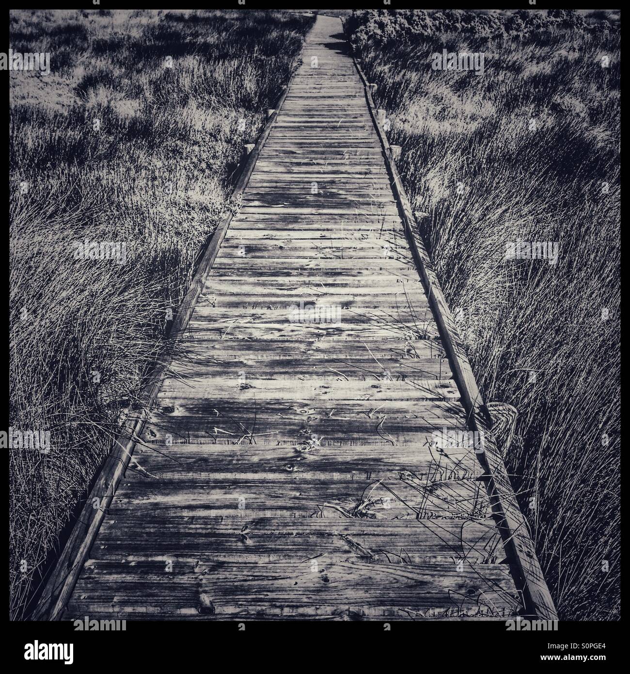 Black and white photo of wooden walkway. - Smartphone Captured Stock Image