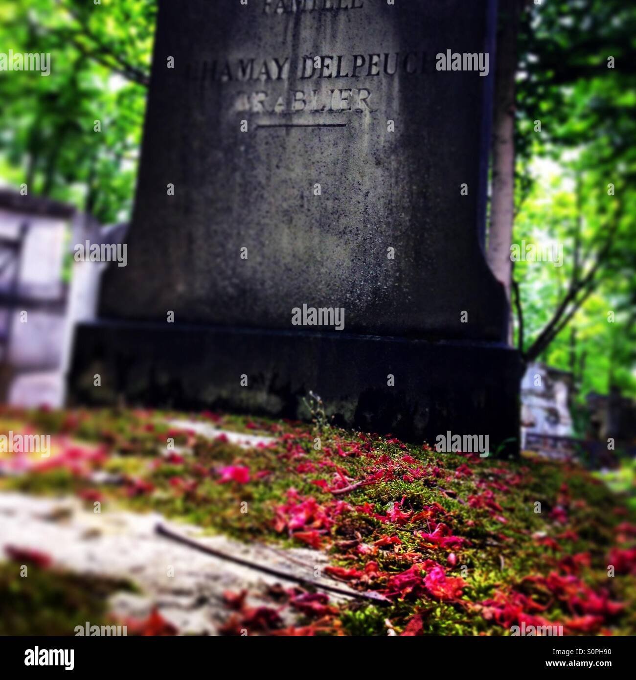 Flower scattered grave at Pere le chaise cemetery, Paris - Smartphone Captured Stock Image