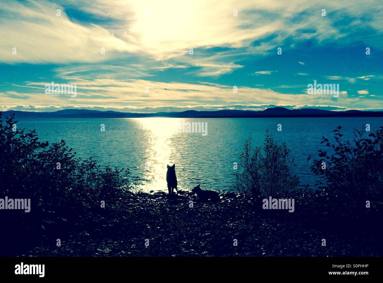 Cold summer night, Sweden Stock Photo Alamy