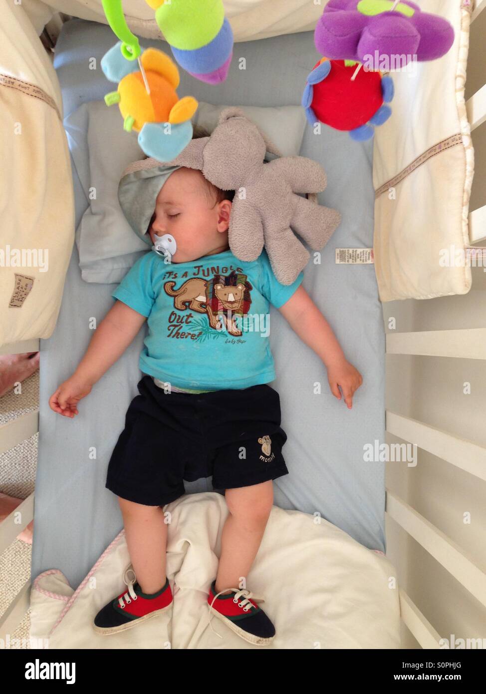 Baby boy sleeping in cot, with his bunny draped over his head Stock