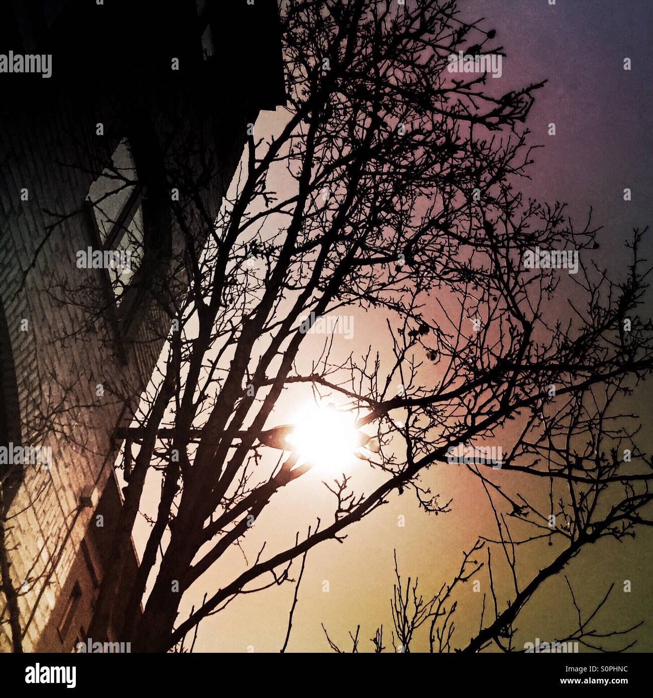 Streetlight in the city - Smartphone Captured Stock Image