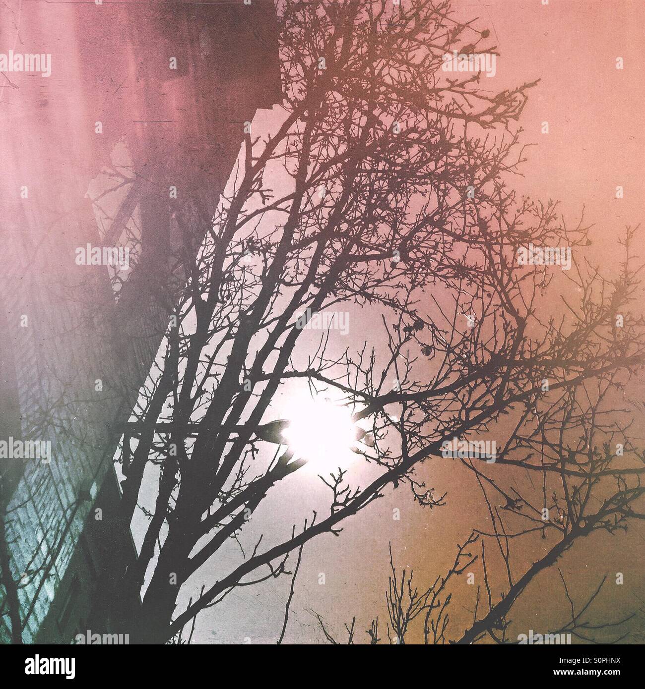 Streetlight in the city - Smartphone Captured Stock Image