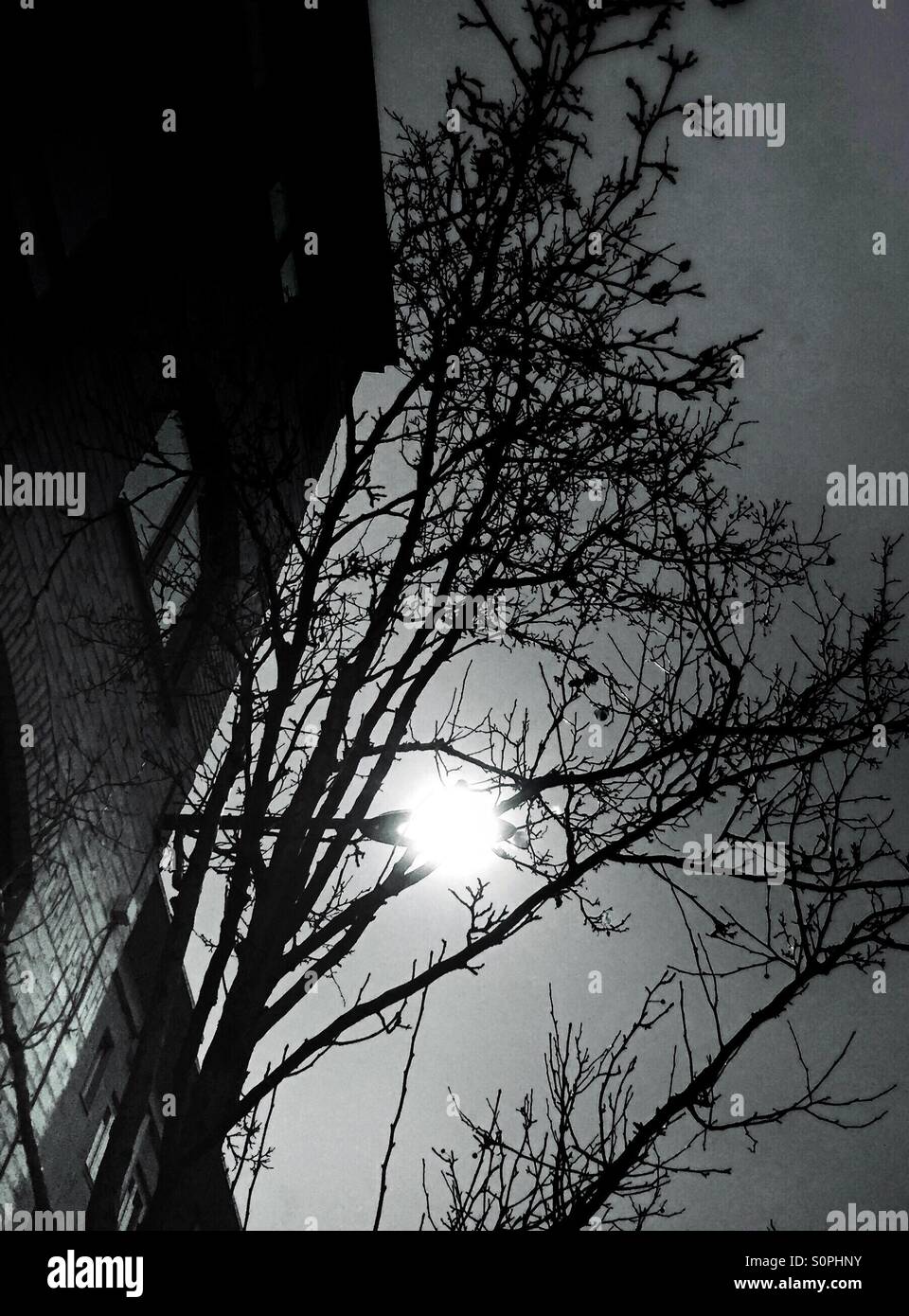 Streetlight in the city - Smartphone Captured Stock Image