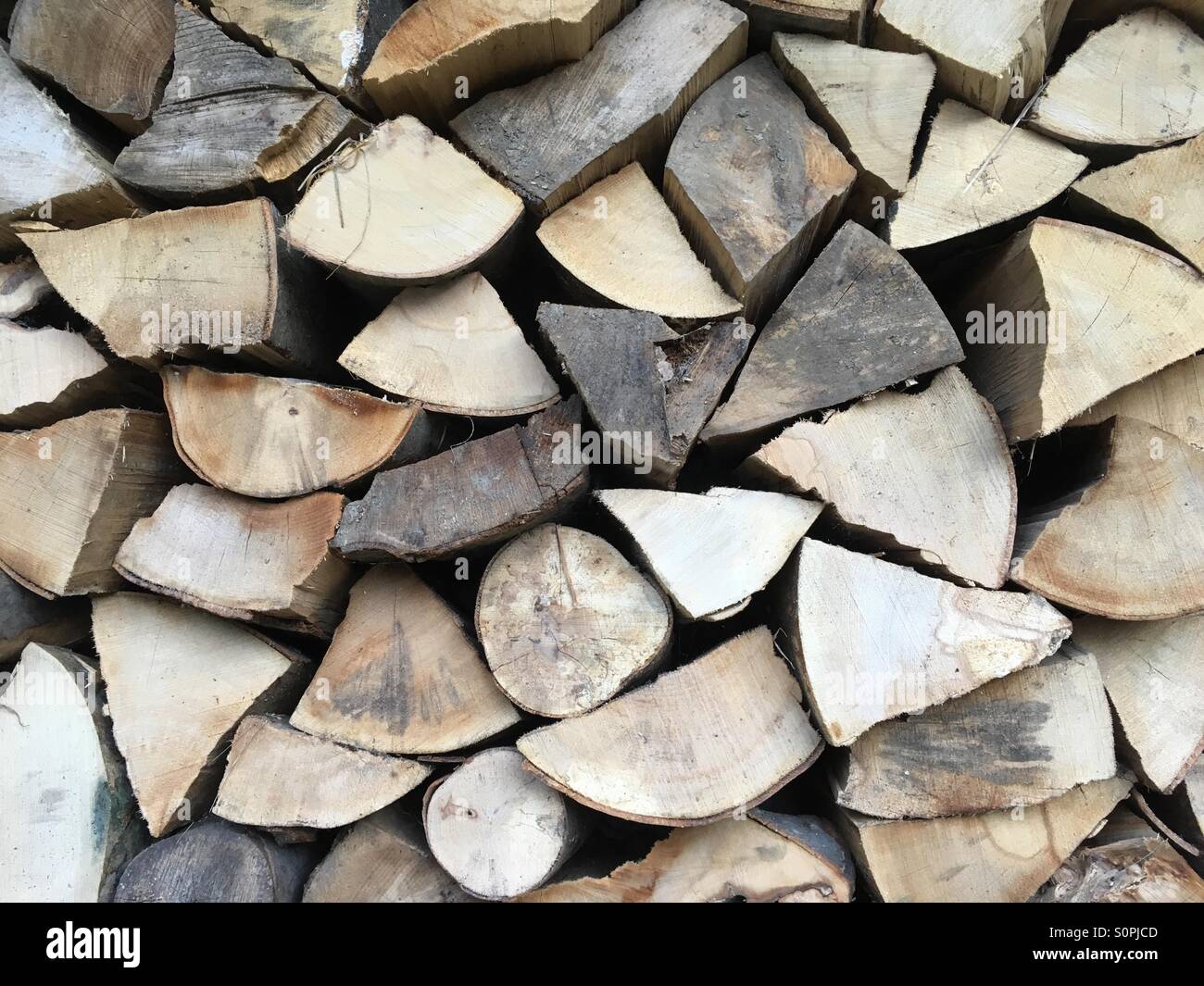 Timber Wood logs - Smartphone Captured Stock Image
