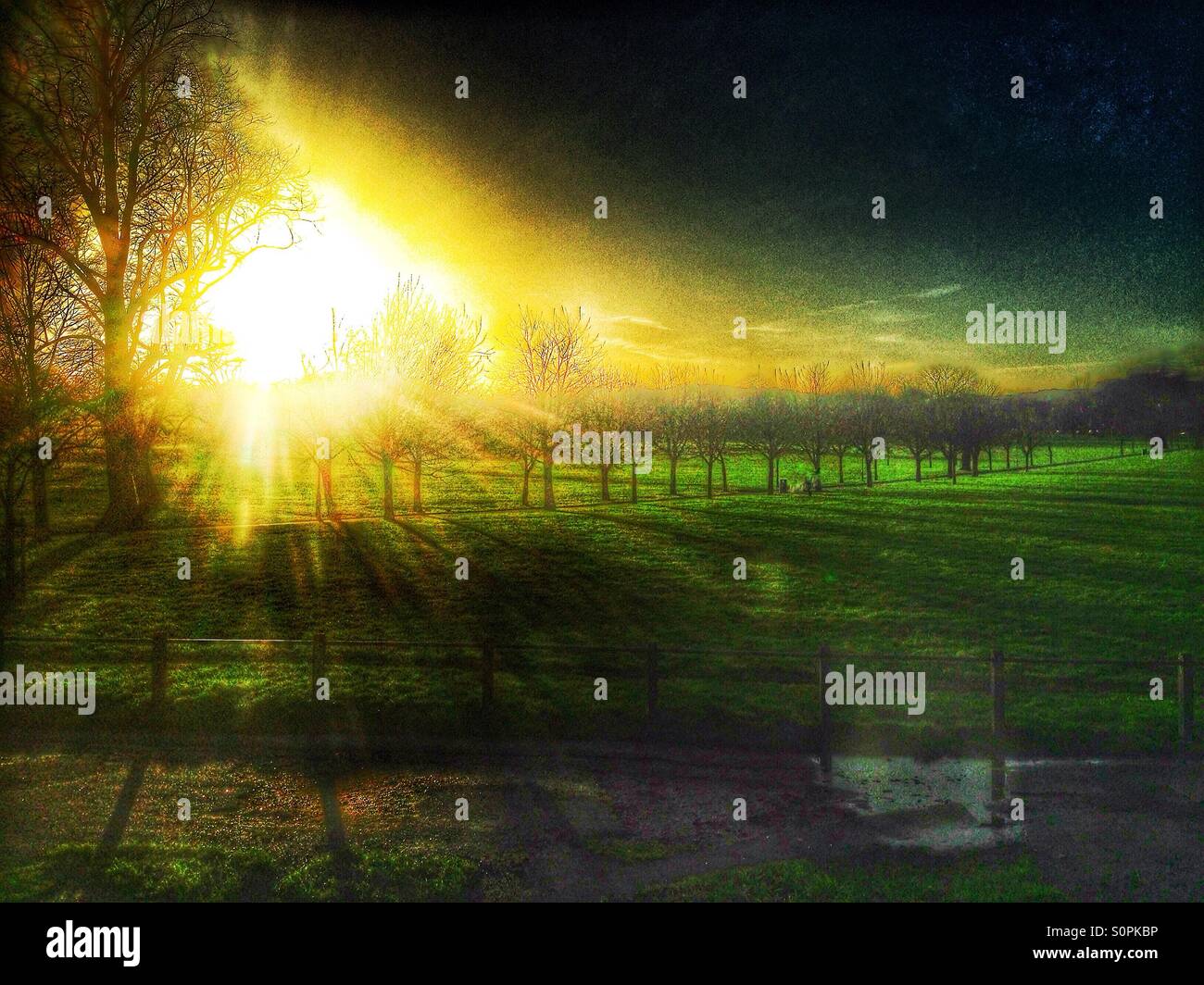 Peckham Rye Sunrise. - Smartphone Captured Stock Image