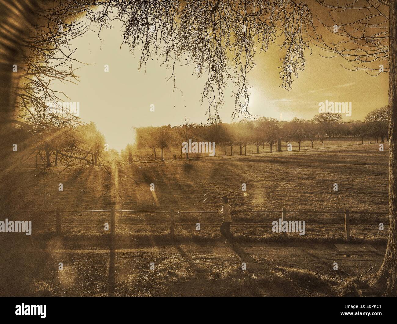 Jogger in Peckham rye park - Smartphone Captured Stock Image
