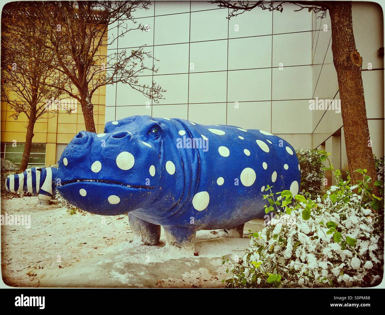 An Unusual Scene in The Urban Jungle - a Blue Hippopotamus with white spots is seen walking in the snow in amongst an urban shopping centre. Photo Credit - © COLIN HOSKINS. - Smartphone Captured Stock Image