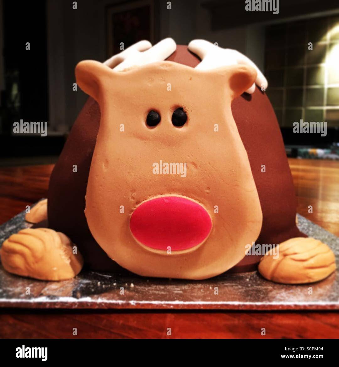 Festive reindeer cake - Smartphone Captured Stock Image