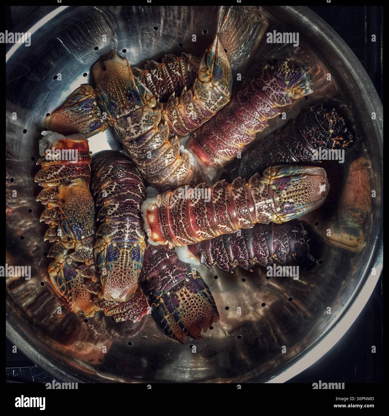 Raw Cape Rock lobster in colander. - Smartphone Captured Stock Image