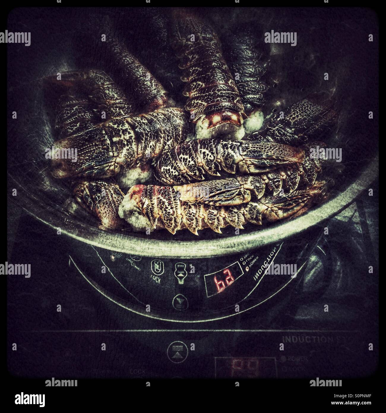 Steaming Cape Rock lobster tails. - Smartphone Captured Stock Image