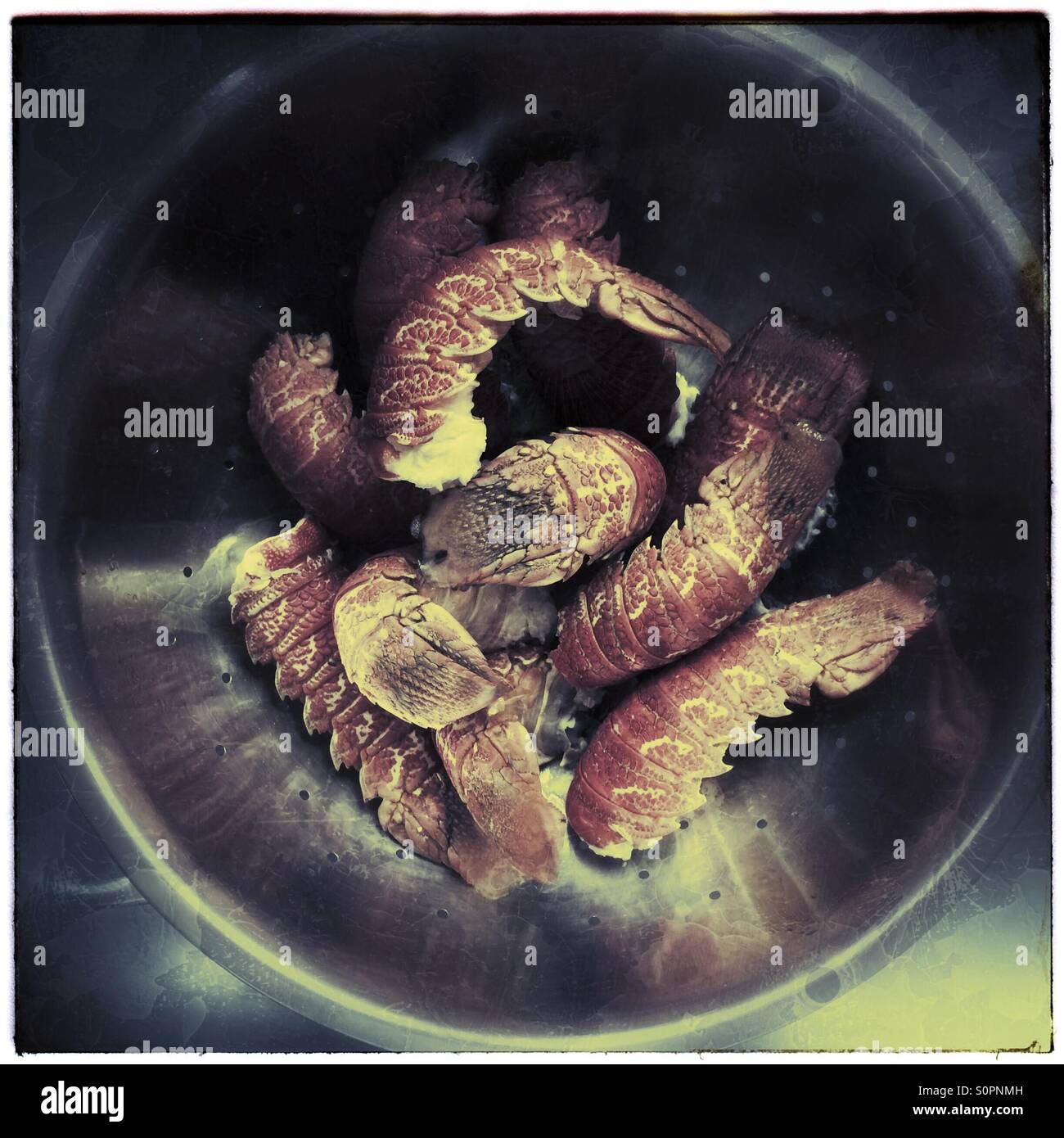 Lobster tails in colander. - Smartphone Captured Stock Image