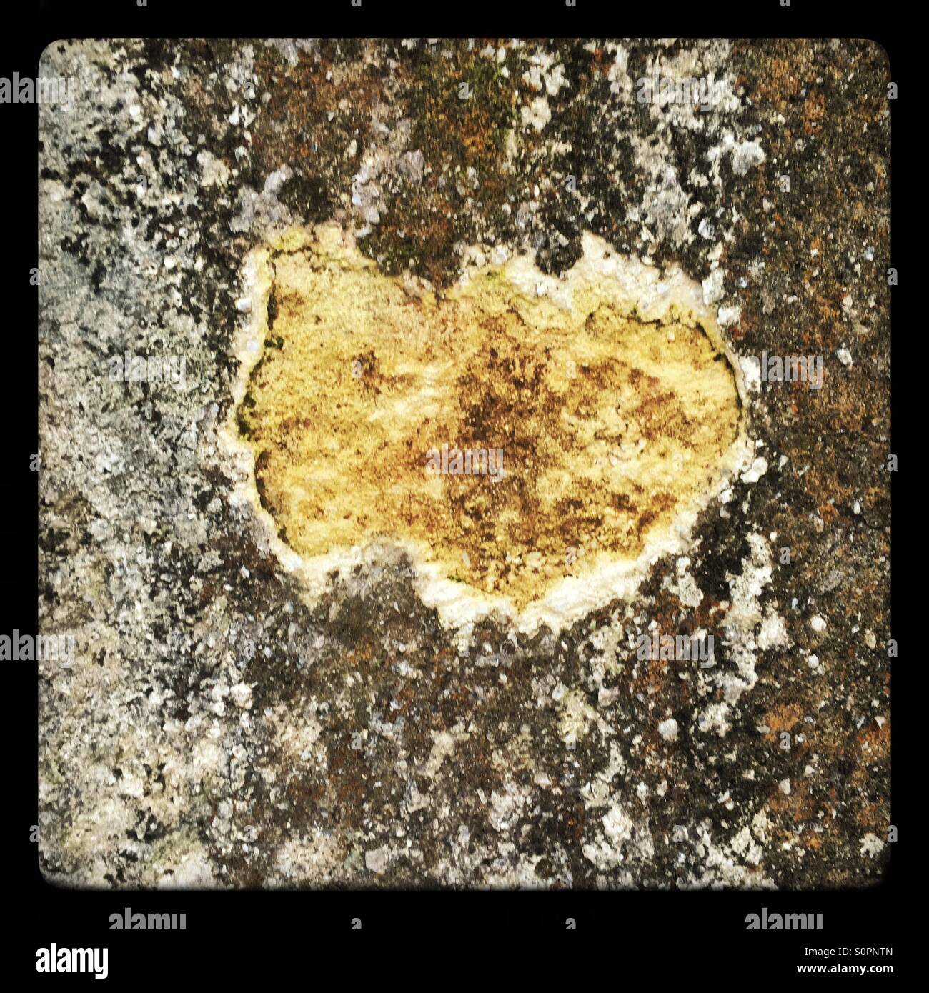 Mark on the wall - Smartphone Captured Stock Image