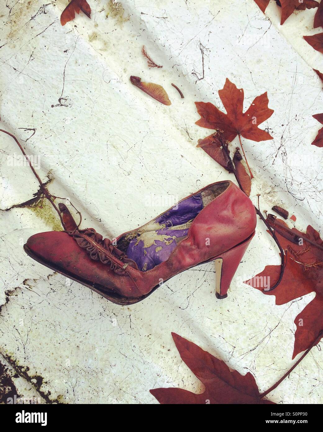 Woman's shoe discarded on corrugated metal outdoors in late autumn surrounded by maple leaves - Smartphone Captured Stock Image