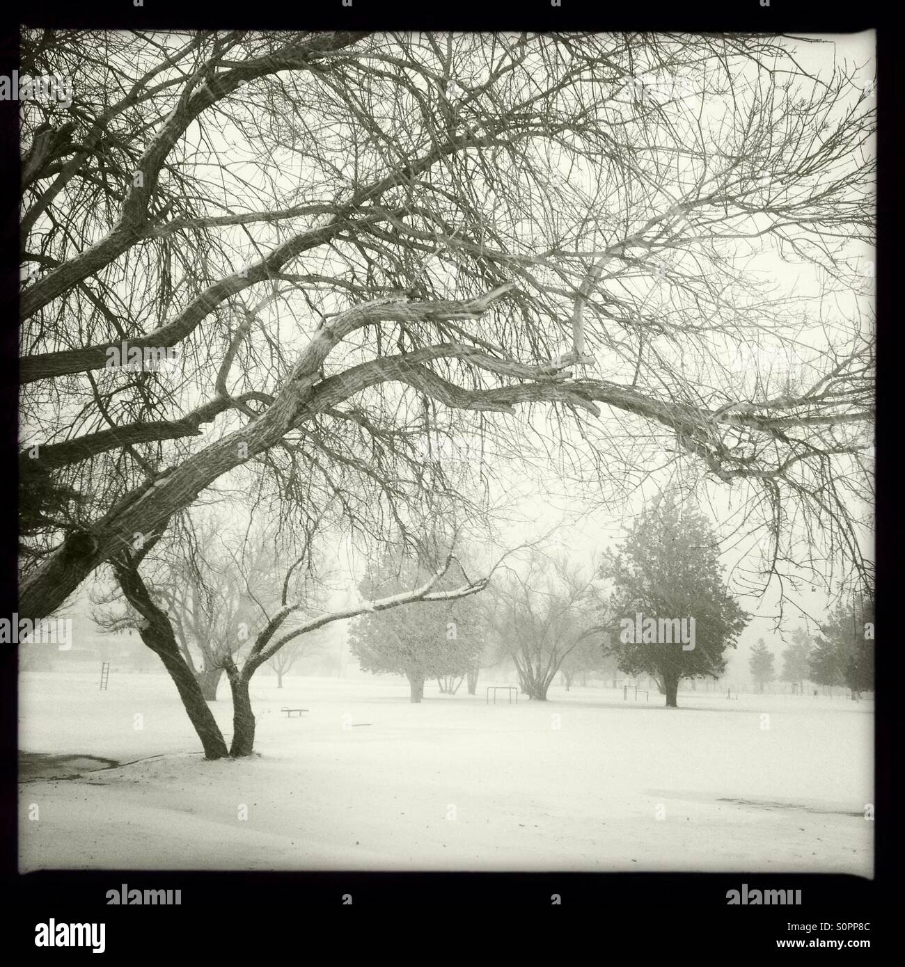 Winter storm in Alpine, Texas Stock Photo Alamy