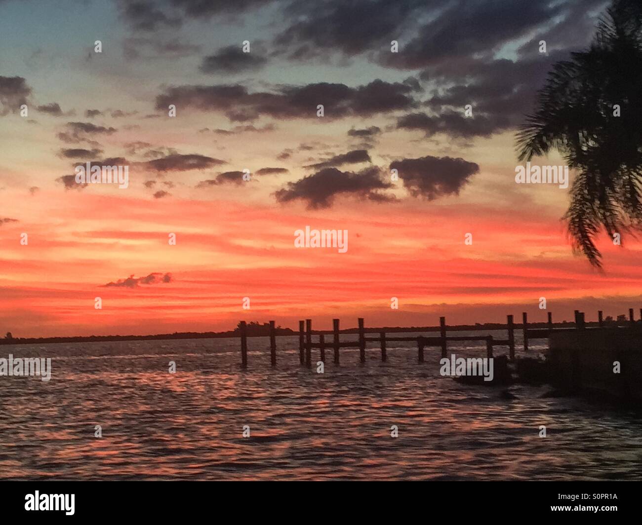 Palm trees, water and sunset in Port Charlotte, Florida. Stock Photo
