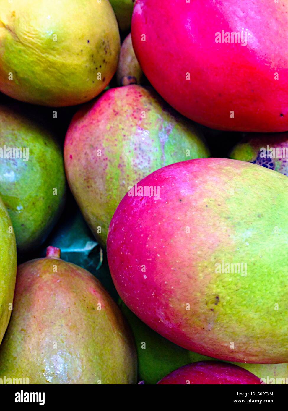Colorful ripe papayas Stock Photo
