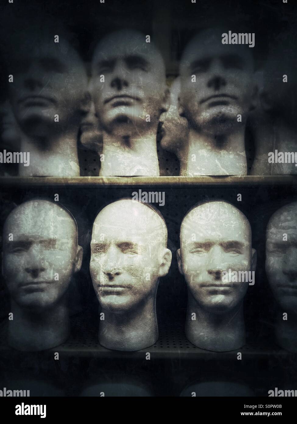 Rows of styrofoam heads staring randomly - Smartphone Captured Stock Image