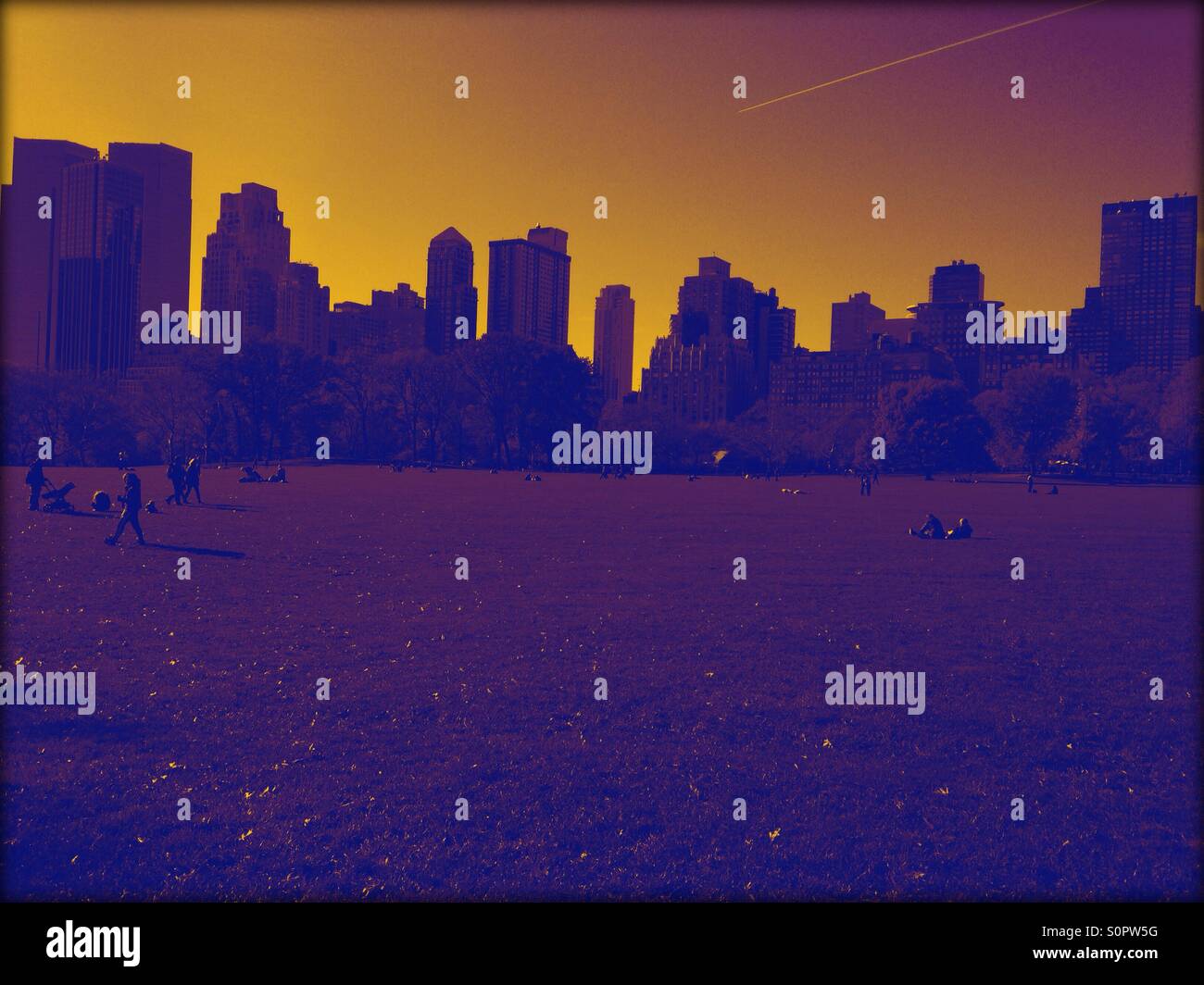 Central Park view - Smartphone Captured Stock Image