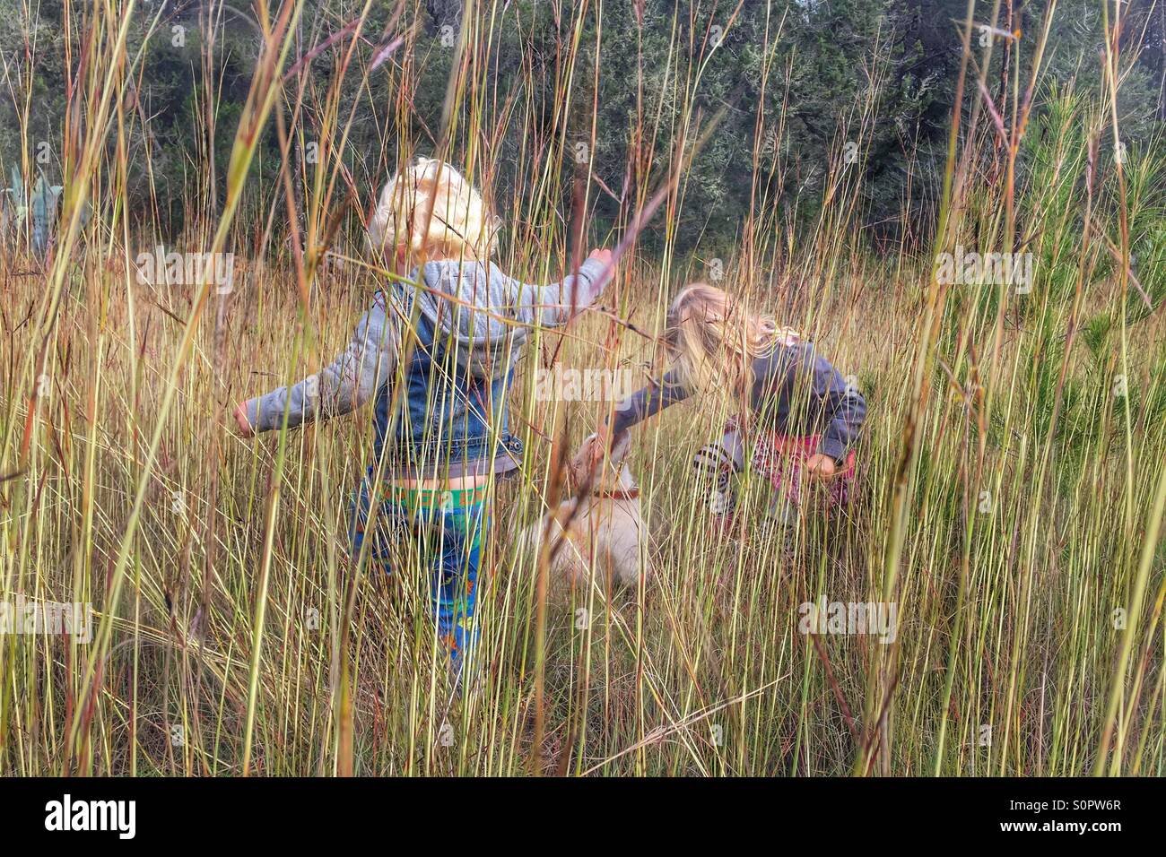 Kids playing in long grass Stock Photo Alamy